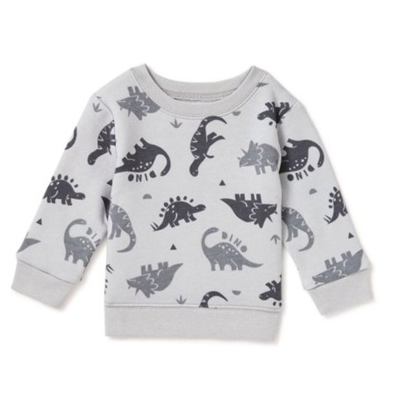 Dinosaur Grey Sweatshirt & Pants Set for Boys 6-36M SS639
